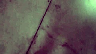 El abuelo de mi amigo me coge blowjob lingerie pussy handjob boobs cock horny sexy prostitute sex