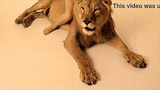 Ty retro krásky se rozdivočily se zvířaty v chlupatých venkovních scénách.