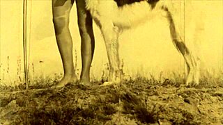 These retro beauties got wild with beasts in hairy outdoor scenes.