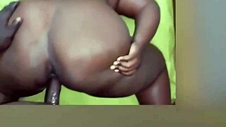 watch this big ass doggy compilation!