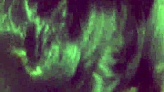 Boleh tahan blowjob dari milf Sepanyol aku? Sangat kuat