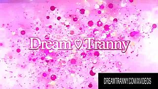 Dream Tranny showcases trans GFs getting hot anal action in compilation.