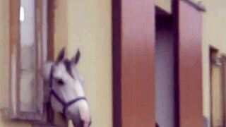 Teen Amateurs Get Faces Spermed