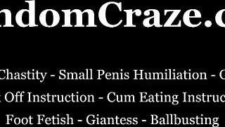 You are nothing but a pathetic little bitch under mistress's domination