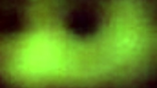 Escort's titty fuck and cum shot