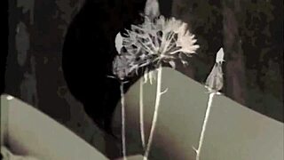 my secret life with vintage lesbian tales.