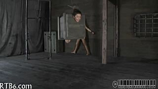 bdsm slave wears collar