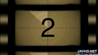 Japanese pov compilation volume 24.