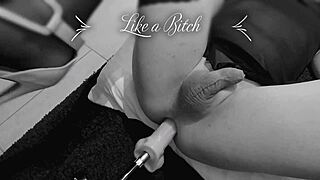 Sissy Slut Gets Fucked By Machine In Doggystyle 😈