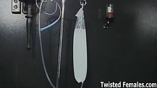 i will teach you humiliation and pain through femdom domination bdsm