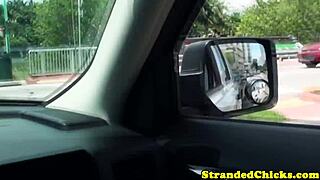 Real Hitchhiker Amateur Buffs Driver Knob 😏