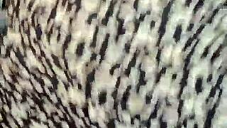 a teen dances reaggaeton mix on webcam, moving her body sensually