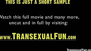 Amateur Shemale Group Banging With Anal Blowjob And Cumshot