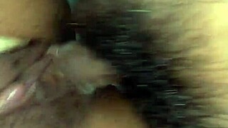 Compilation of Mexican Highlights Showcasing Cultural Moments and Unique Stories for All Audiences.