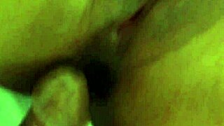 זין דומיניקני קריבי בפעולה באס