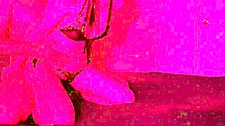 lazycatdoll tries on her new lingerie and poses in jeans