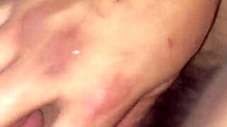 Compilation of Mexican Highlights Showcasing Cultural Moments and Unique Stories for All Audiences.