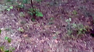 Hey, a beautiful stranger licked my pussy in public! Felt so wild and intense.