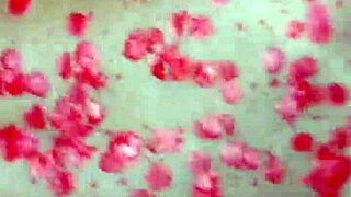 waxplay led to anal creampie 😈