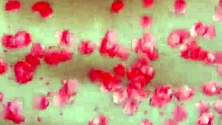 waxplay led to anal creampie 😈