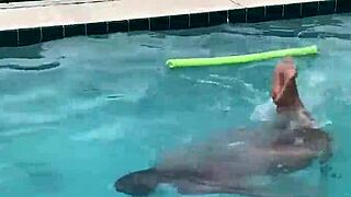 Latina Maid Sucks Dick by Pool