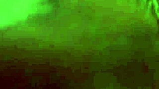 Homemade ebony hotel fun