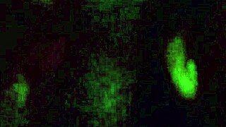 i saw this huge black cock and...