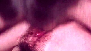 Dark Lantern Entertainment Presents The Dragonfly Vintage Scene