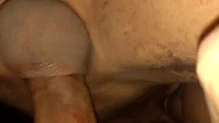 i watch novinha from the gym on instagram michele69sp in doggystyle