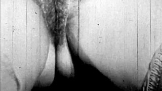 Dark Lantern Entertainment Presents The Dragonfly Vintage Scene