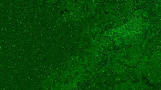 Watch me fist myself hard!