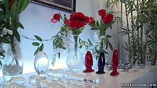 lesbians exploring bizarre group play with gaping and assfucking