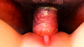 watching real doll get blowjob and fucked close up