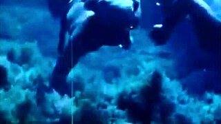 Wonderful World Of Vintage Photography Women.