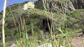 want to see girls in tight tights?