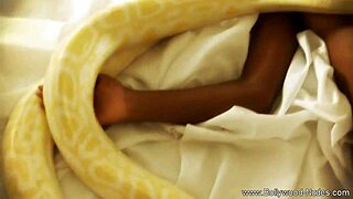 do you like her bronze skin while she undresses?