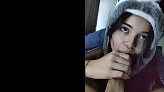 White wolf watches as she sucks young white moon eagerly