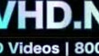 japanese beauties in lingerie vol 20 legs stockings pussy