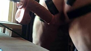 I Still Love You Guys Despite Everything