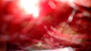 i got a blowjob in the park