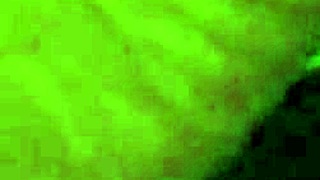 Jebem dlakavo pičko močno od zadaj