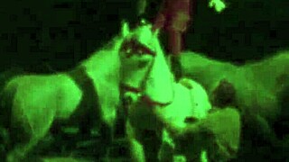 My Secret Life: Vintage Hairy Pornography Unveiled