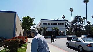 las vegas furry potato scandal unfolds