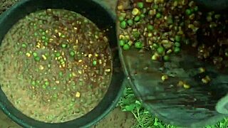 ג'ינג'ית נשלטת ומשפילה עם בלואג'וב בקשירה