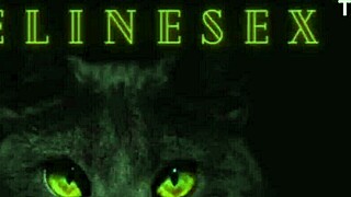 Don't Watch This Video