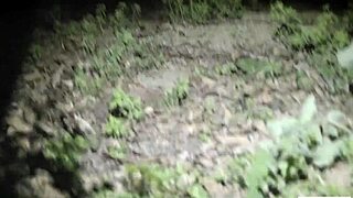 April Oneil And Kenna James In Hairy Lesbian Cunilingus!