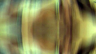 marcos goiano fucking the shemale hard and deep with big cock