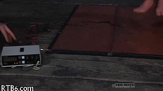 Intense Sadomasochism Practices in Free Erotica