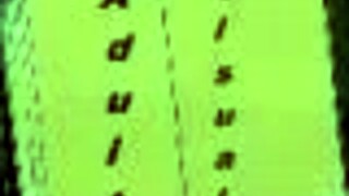 Exploring the harem hotel in episode 146 of the game