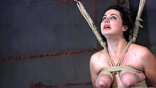 Intense Sadomasochism Practices in Free Erotica